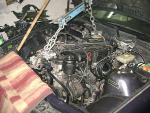 e36,  330i Cabrio - 3er BMW - E36