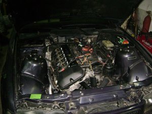 e36,  330i Cabrio - 3er BMW - E36