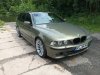 530d Messing Metalic - 5er BMW - E39 - IMG_8021.JPG