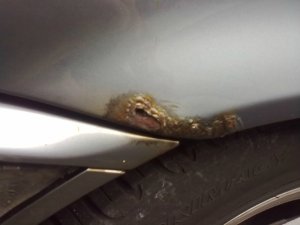 E36, 323i Limo - 3er BMW - E36 E36, 323i Limo - 3er BMW - E36