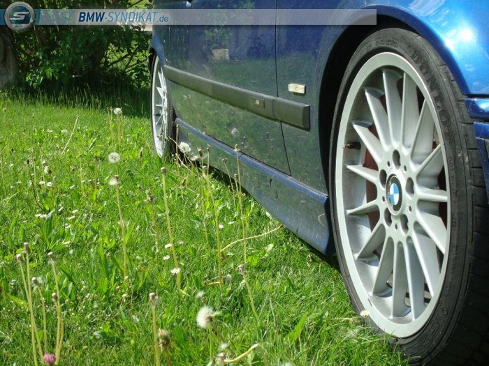 M-compact 323ti **Neue Felgen** - 3er BMW - E36