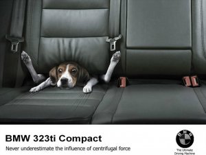 M-compact 323ti **Neue Felgen** - 3er BMW - E36 M-compact 323ti **Neue Felgen** - 3er BMW - E36