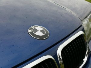 M-compact 323ti **Neue Felgen** - 3er BMW - E36