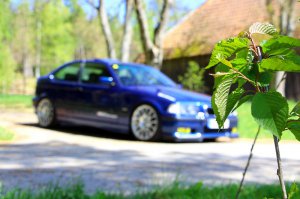 M-compact 323ti **Neue Felgen** - 3er BMW - E36