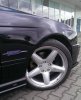 Semper Fidelis - 5er BMW - E39 - Bild 31.jpg