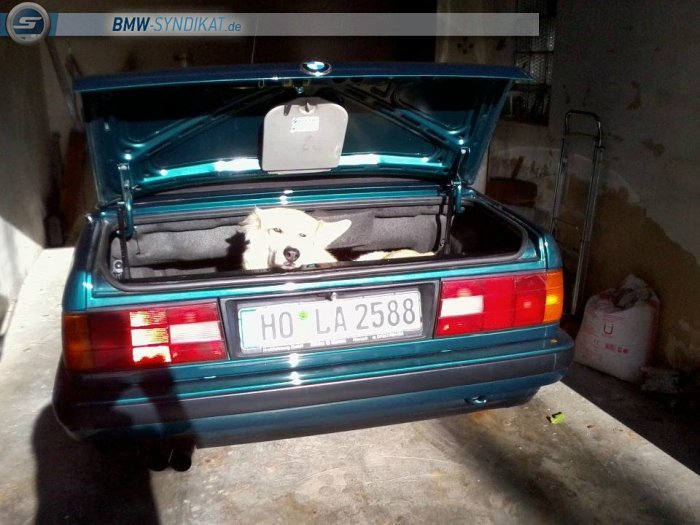 BMW-Syndikat Fotostorie