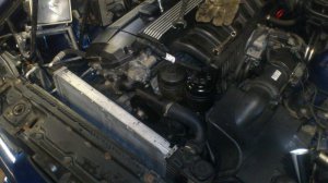 Der dezente Pampersbomber ;) - 5er BMW - E39