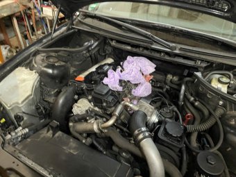 Augustin - Schlachten oder Aufbauen? - 3er BMW - E46 Augustin - Schlachten oder Aufbauen? - 3er BMW - E46