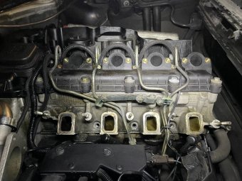 Augustin - Schlachten oder Aufbauen? - 3er BMW - E46 Augustin - Schlachten oder Aufbauen? - 3er BMW - E46