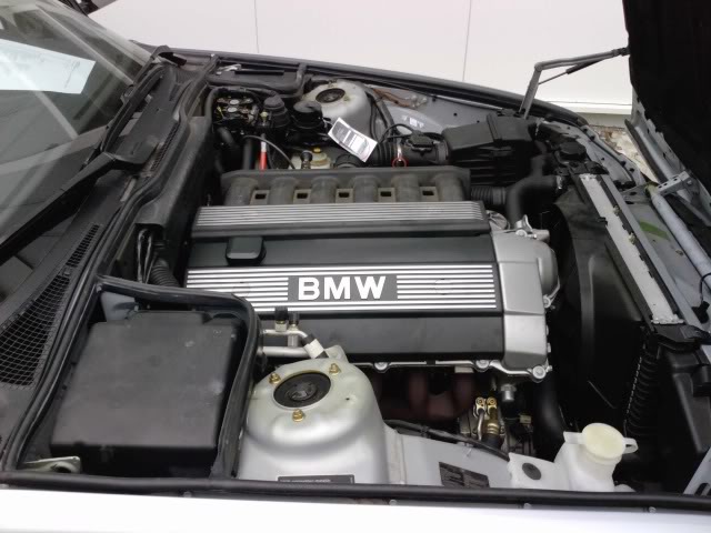 E34 520i. der cruiser - 5er BMW - E34