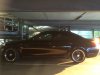 Mein schwarzer 550i LCI mit LPG - 5er BMW - E60 / E61 - Mein_550i_36_links_Morgensonne.JPG