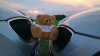 "Doppel4Zylinder" Steht zum Verkauf!!!! - 5er BMW - E60 / E61 - IMAG0133.jpg