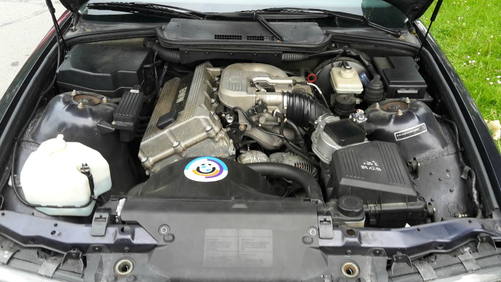 Madeiraviolett 318iS - 3er BMW - E36