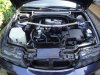 Die ersten neuen Bilder meiner Blauen Perle - 3er BMW - E46 - 277548_248366425174175_100000024577272_1114788_6633184_o.jpg