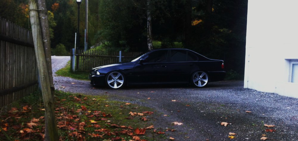 BMW 540i Individual ///M -New Pics- - 5er BMW - E39