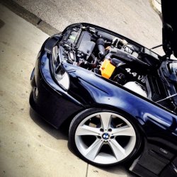 BMW 540i Individual ///M -New Pics- - 5er BMW - E39