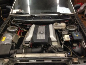e23 740i V8 6 Gang - Fotostories weiterer BMW Modelle e23 740i V8 6 Gang - Fotostories weiterer BMW Modelle