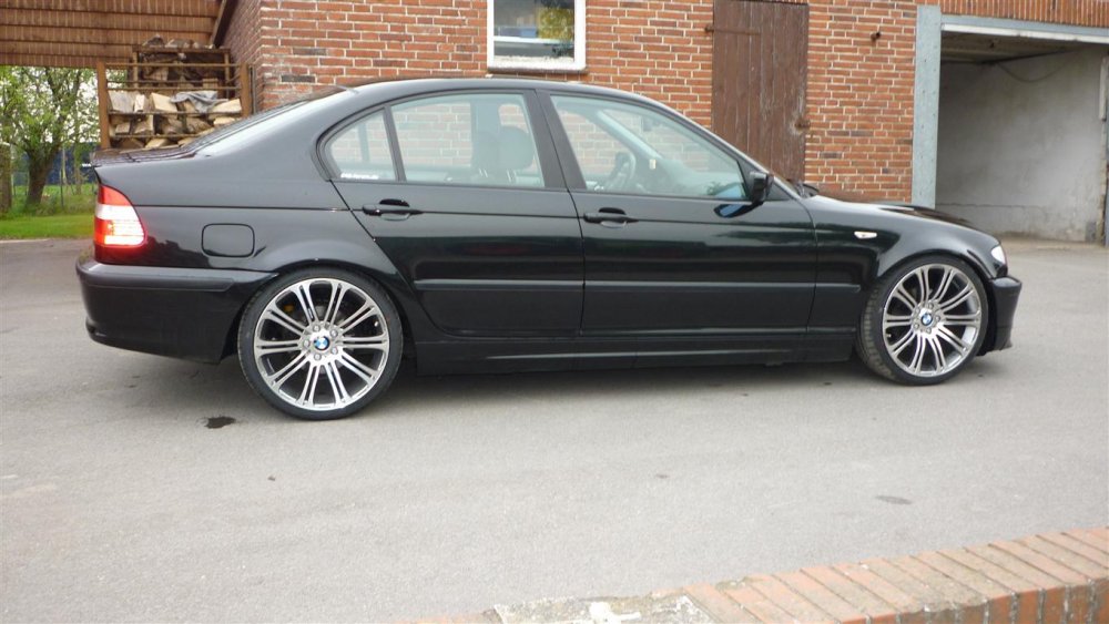 Stingray's 318i - 3er BMW - E46