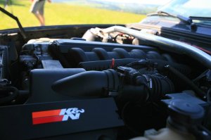 Daily 328i - R.I.P. - 3er BMW - E30 Daily 328i - R.I.P. - 3er BMW - E30