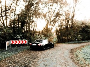 BMW - 545i - Black Mamba - 5er BMW - E60 / E61