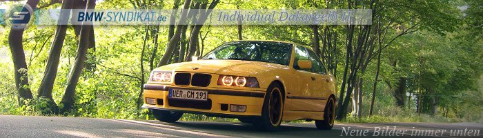 In Memory Of E36 Individual Dakargelb II '97 - 3er BMW - E36 In Memory Of E36 Individual Dakargelb II '97 - 3er BMW - E36