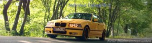 In Memory Of E36 Individual Dakargelb II '97 - 3er BMW - E36