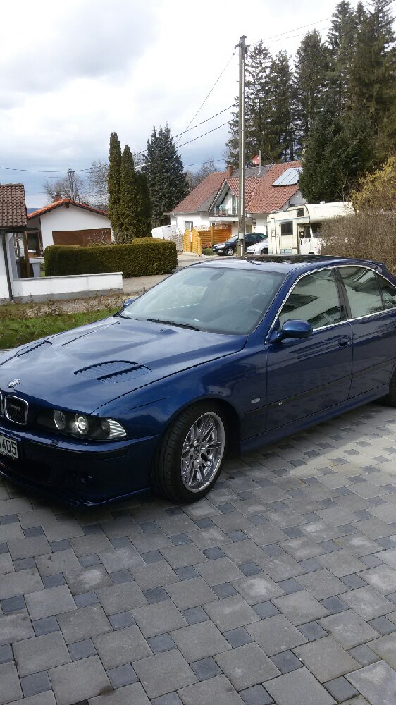 m5e39 hamann - 5er BMW - E39