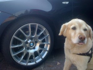 Limited Sport Edition 118i - 1er BMW - E81 / E82 / E87 / E88