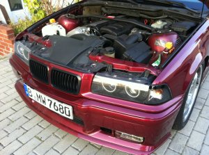 E36 Calypsorot mit Motorsport Felgen - 3er BMW - E36 E36 Calypsorot mit Motorsport Felgen - 3er BMW - E36