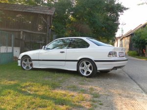 White Pearl  1994 e36 - 3er BMW - E36