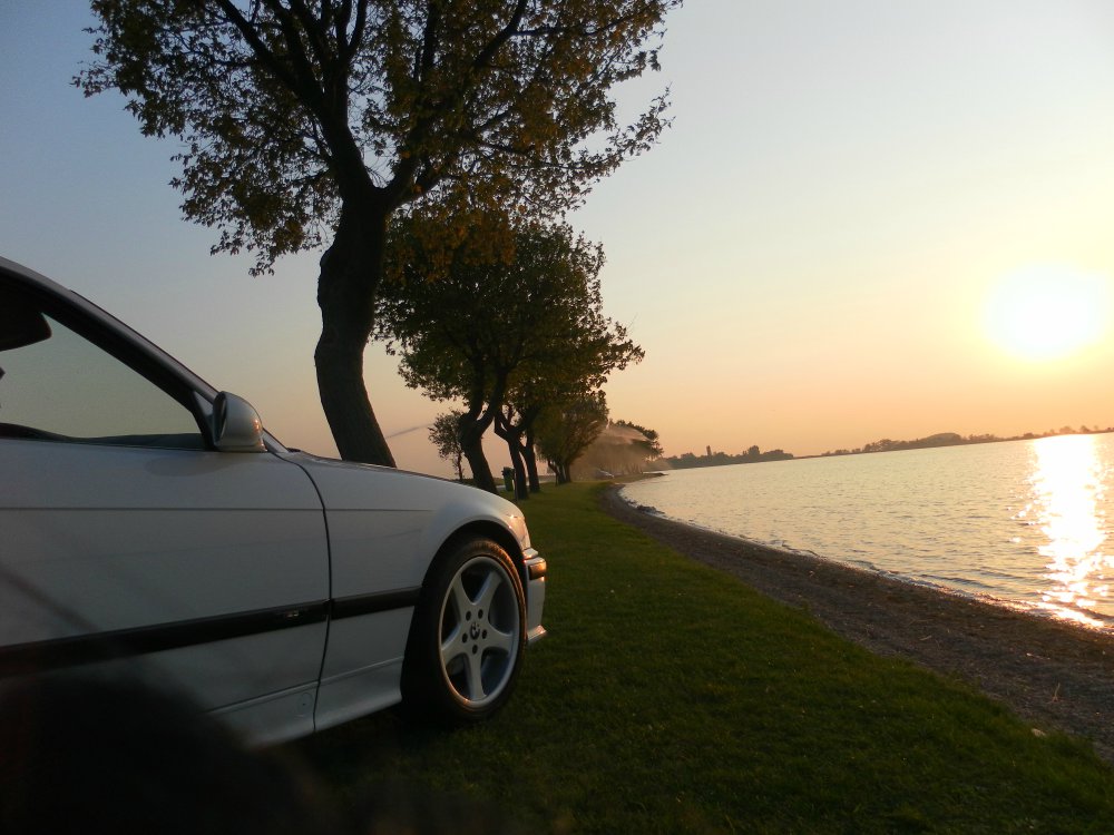 White Pearl  1994 e36 - 3er BMW - E36