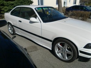 White Pearl  1994 e36 - 3er BMW - E36