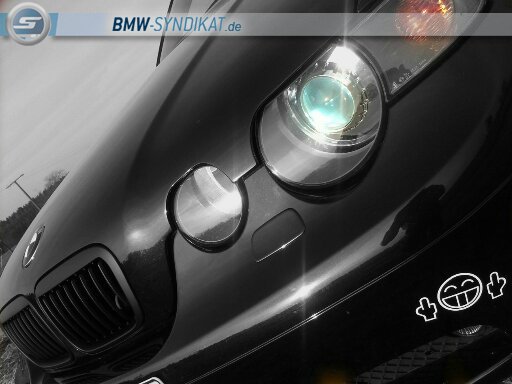 Ex Black&White BMW E46 Compact - 3er BMW - E46 Ex Black&White BMW E46 Compact - 3er BMW - E46