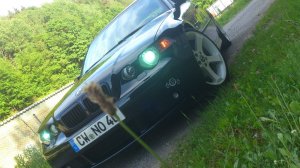 Ex Black&White BMW E46 Compact - 3er BMW - E46