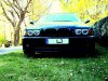Black Beauty Most Wanted #1 - 5er BMW - E39 - DSC01333.JPG