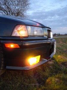 Bostongrner Kilometerfresser - 3er BMW - E36