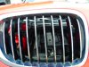 Japanrotes 330ci Coupe - 3er BMW - E46 - P1020748.JPG