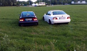Dinos E36 Coupe - 3er BMW - E36