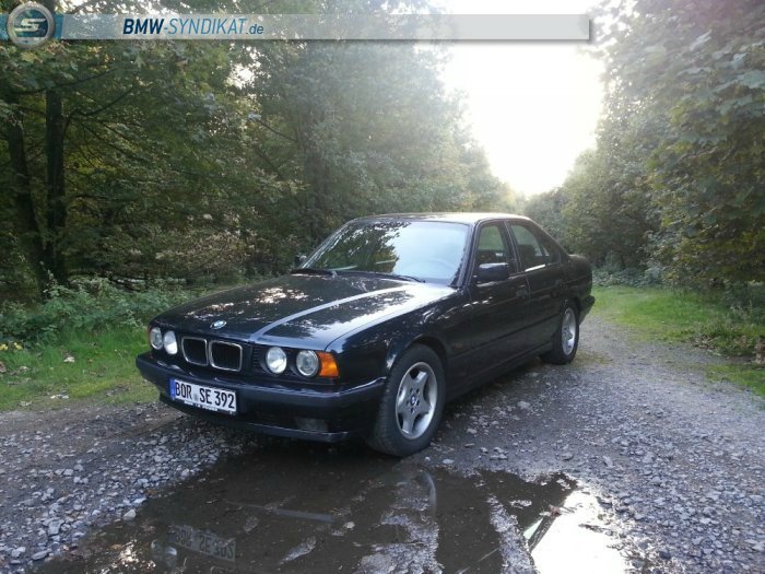 BMW 525i e34 Petrol-Mica-Metallic - 5er BMW - E34