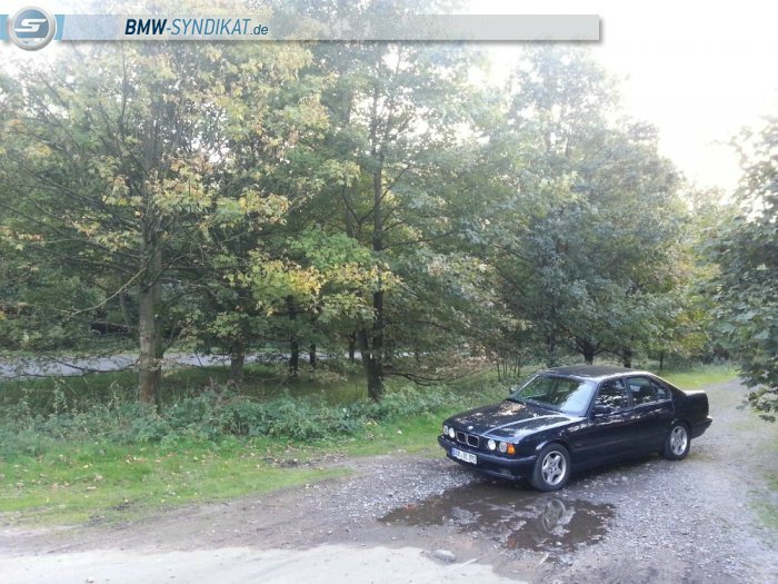 BMW 525i e34 Petrol-Mica-Metallic - 5er BMW - E34