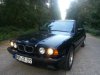 BMW 525i e34 Petrol-Mica-Metallic - 5er BMW - E34 - 736146_652835988070283_832368116_o.jpg