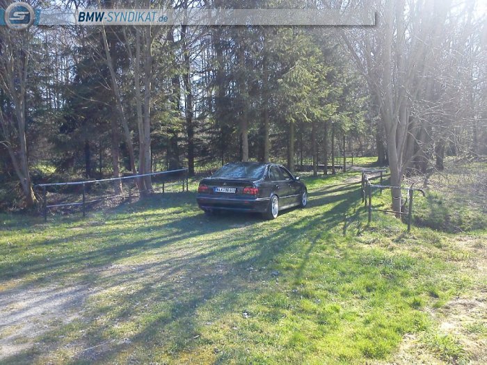 R.i.p. der Dicke - 5er BMW - E39