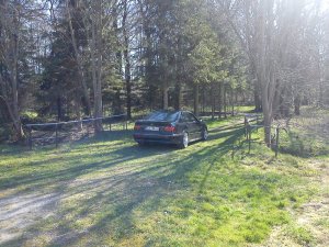 R.i.p. der Dicke - 5er BMW - E39