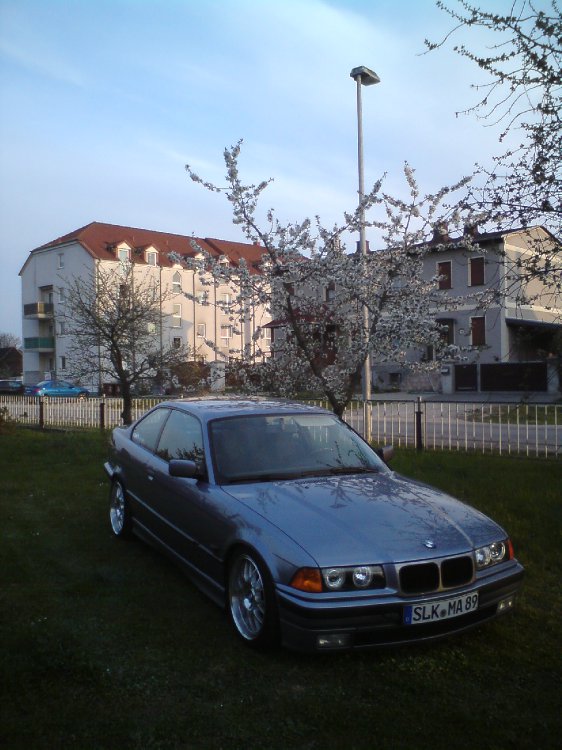 Meine daily bitch-->Bilder von Rub'n'Roll Media - 3er BMW - E36