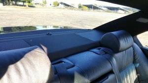 meine 40er Limo - 5er BMW - E34