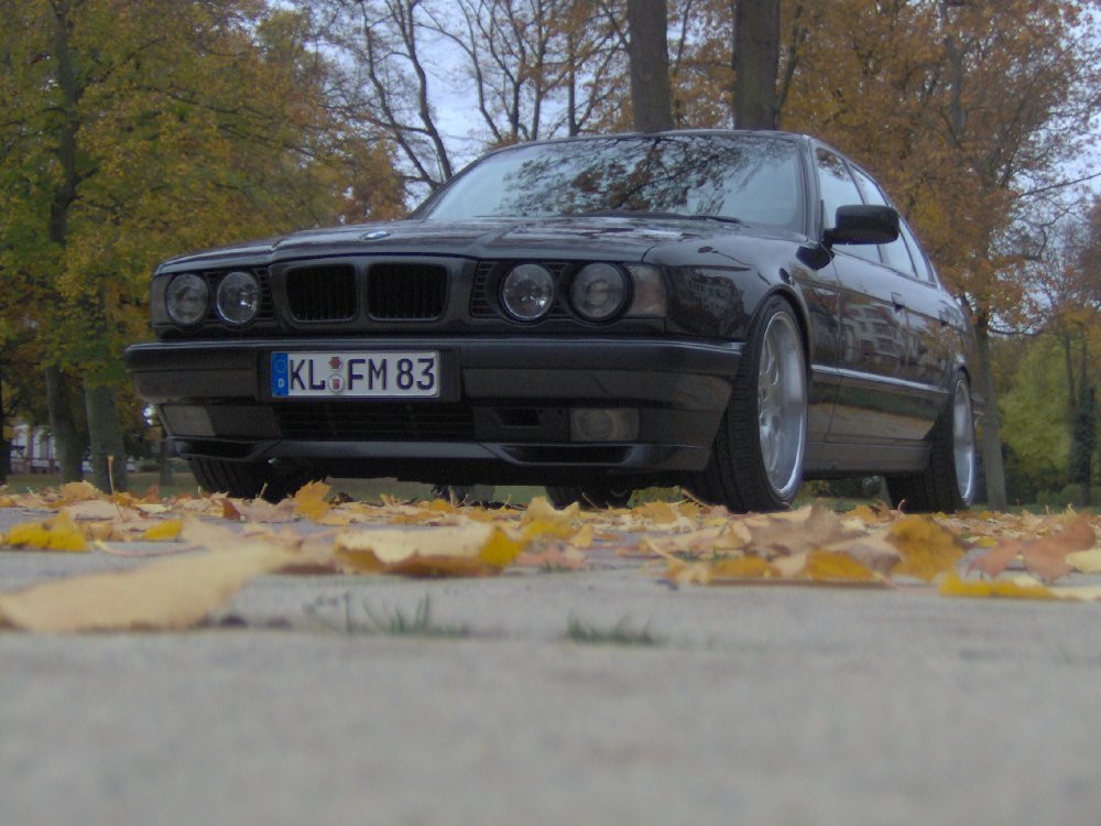 meine 40er Limo - 5er BMW - E34