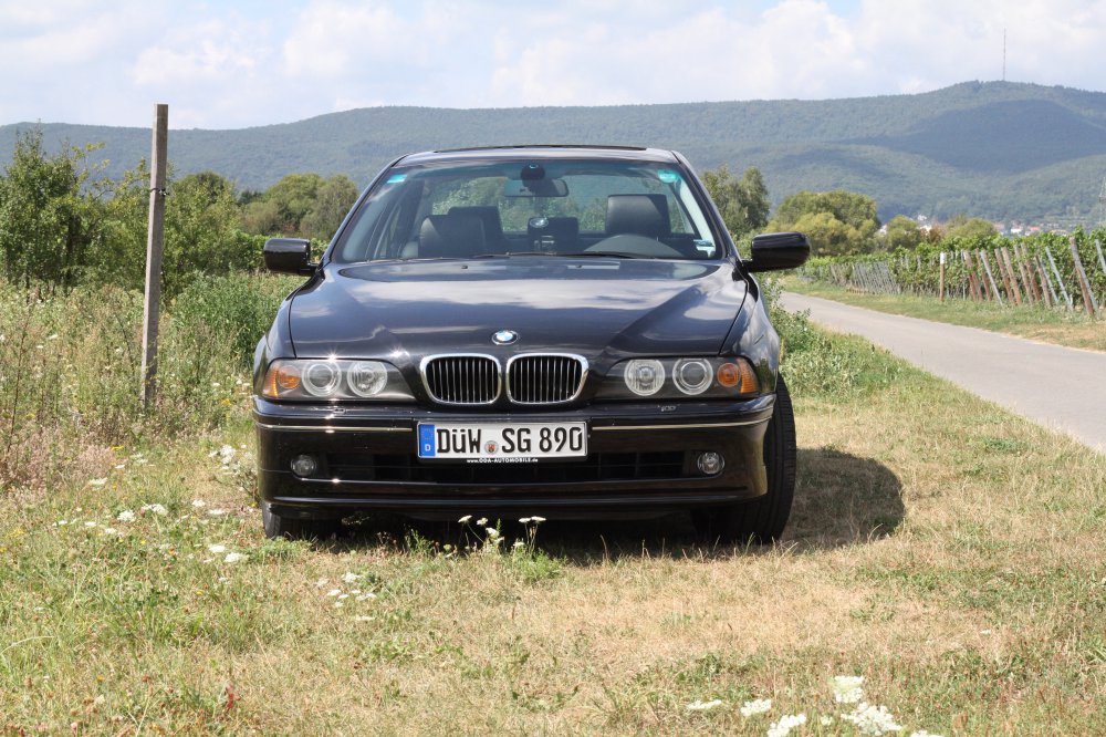 V8 Power - 5er BMW - E39