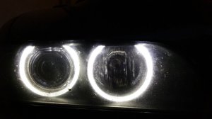 Mein kleiner grner 530d - 5er BMW - E39