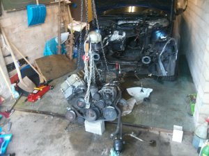 Tobagoblauer 318ti - 3er BMW - E36 Tobagoblauer 318ti - 3er BMW - E36