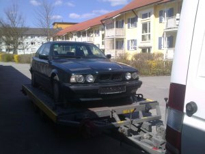 Grne E34 - 5er BMW - E34